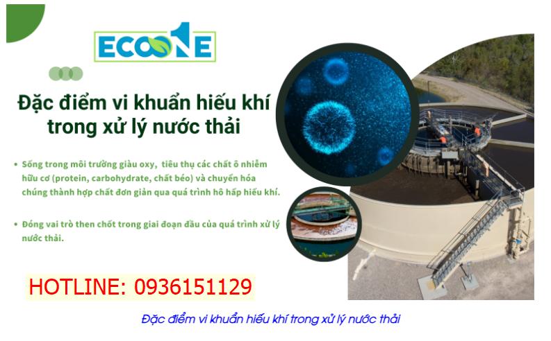 Đặc điểm vi khuẩn hiếu khí trong xử lý nước thải